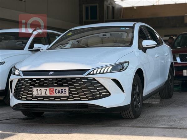 بي واي دي Qin Plus 2025 للبيع في العراق -  بغداد